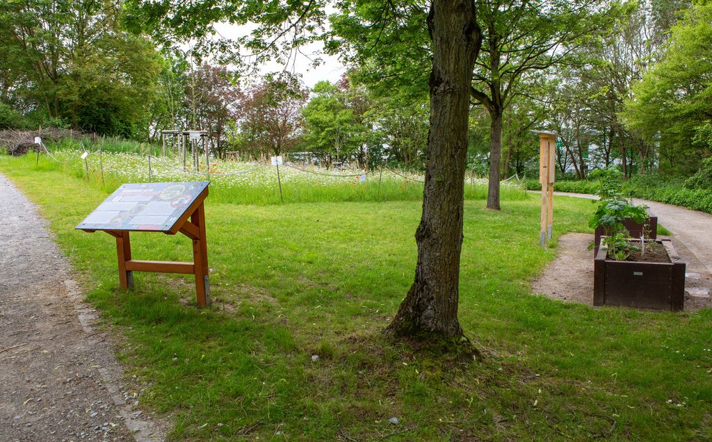 Naturfläche für den Artenschutz im Freizeitpark Langfort
