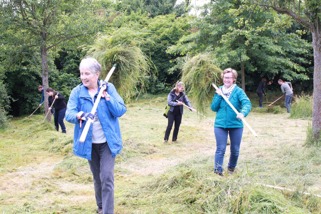 Wiesenpflege im Dienste der Artenvielfalt. 