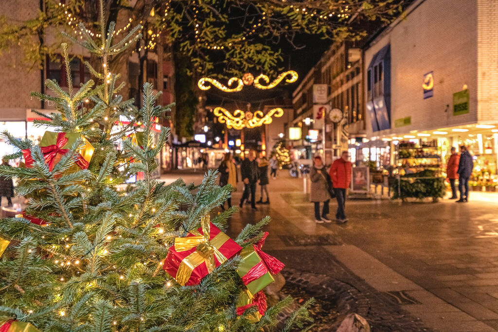 Tannenbäume für eine festlich geschmückte City während der Adventszeit gesucht. 