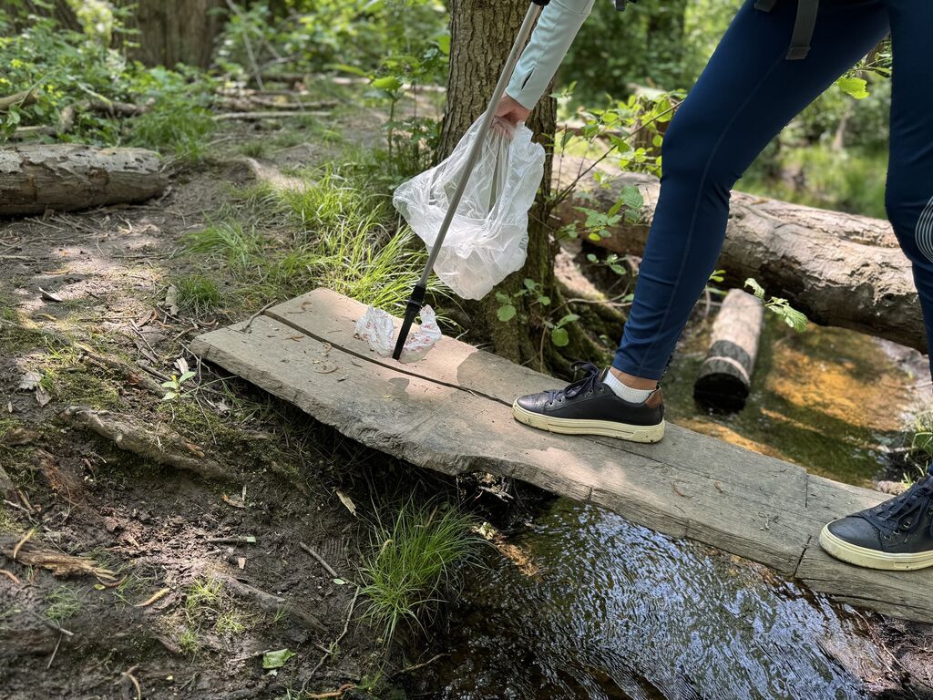 Sei Plogger in der Kinder-Wildnis