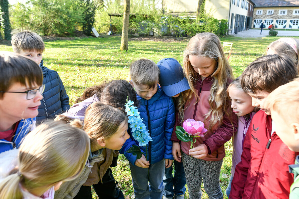 Die Kinder der Klasse 3a der Paulus-Schule tauchten im Bildungszentrum für Umwelt- und Klimaschutz an der Wasserburg Haus Graven in die Welt der Insekten ein. 