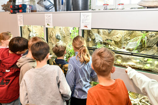 Unter dem Motto „Krabbelnde Helden: Insekten hautnah“ lernten die Kinder der Klasse 3a der Paulus-Schule im Bildungszentrum für Umwelt- und Klimaschutz an der Wasserburg Haus Graven viel über Insekten. 